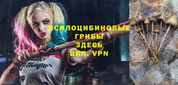 дживик Верея